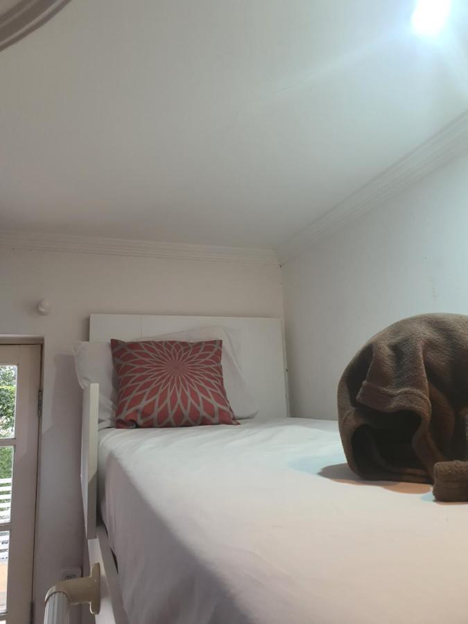 Villa Hostel Sp - Proximo Ao Allianz Parque E Paulista ساو باولو المظهر الخارجي الصورة