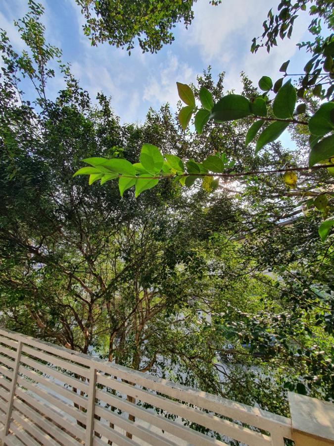 Villa Hostel Sp - Proximo Ao Allianz Parque E Paulista ساو باولو المظهر الخارجي الصورة